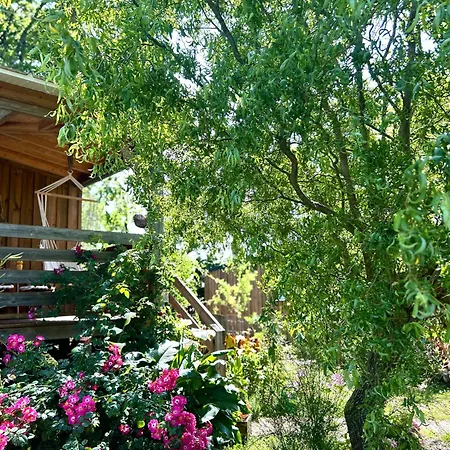 Sur Pilotis - 4 Personnes - Climatise- Piscine- Proche Horská chata Ares